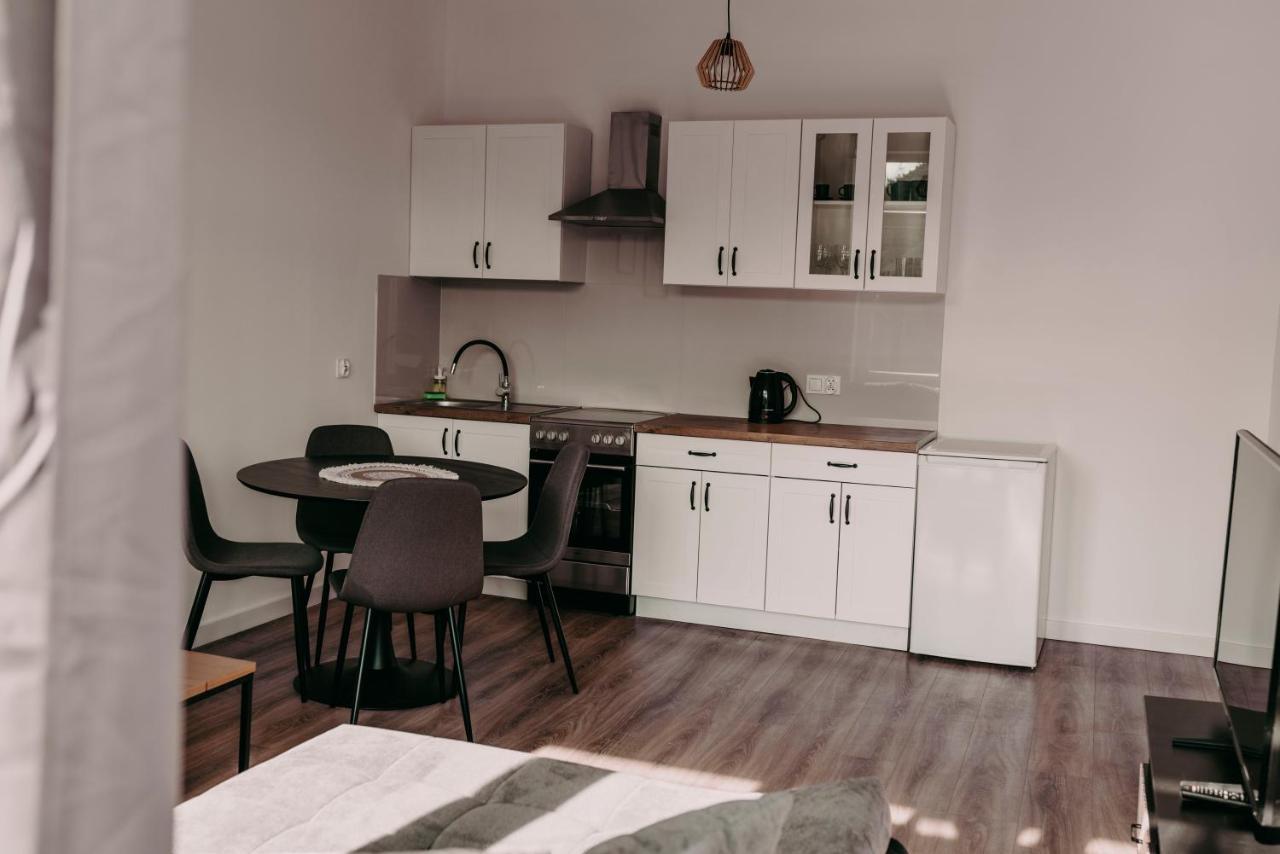 Chopin'S Apartment Bielsko-Biała Extérieur photo